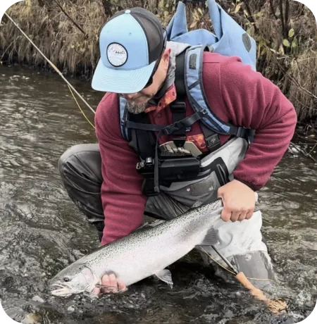A person in waders kneeling in a shallow river, holding a large salmon.