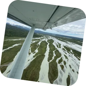 The view past a small plane's wing strut over braided silt channels.
